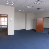 Lokal na wynajem