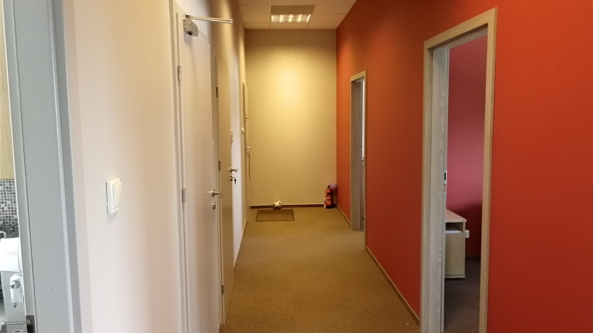 Lokal na wynajem