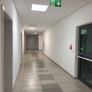 Lokal na wynajem