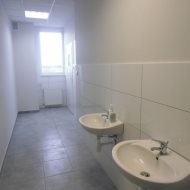 Lokal na wynajem