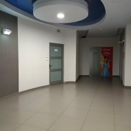 Lokal na wynajem