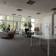 Lokal na wynajem