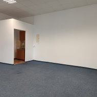 Lokal na wynajem