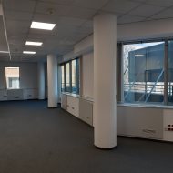 Lokal na wynajem