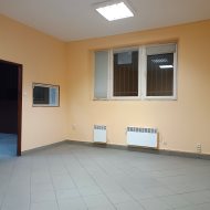 Hala na wynajem