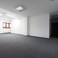 Lokal na wynajem