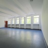 Lokal na wynajem