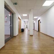 Lokal na wynajem