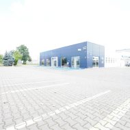 Lokal na wynajem