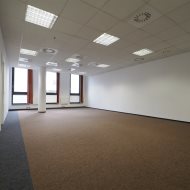 Lokal na wynajem