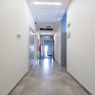 Lokal na wynajem