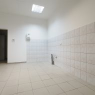 Lokal na wynajem