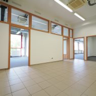 Lokal na wynajem