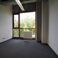 Lokal na wynajem