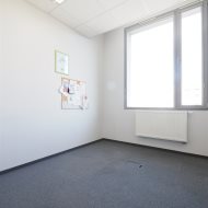 Lokal na wynajem