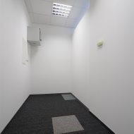 Lokal na wynajem