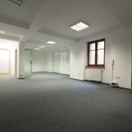 Lokal na wynajem