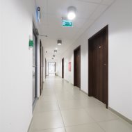 Lokal na wynajem