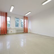 Lokal na wynajem