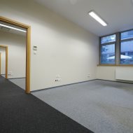 Lokal na wynajem
