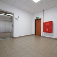 Lokal na wynajem