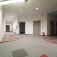 Lokal na wynajem