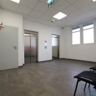 Lokal na wynajem