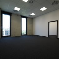 Lokal na wynajem
