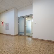 Lokal na wynajem