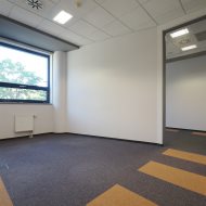 Lokal na wynajem