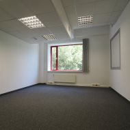 Lokal na wynajem