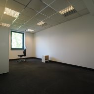Lokal na wynajem