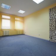 Lokal na wynajem