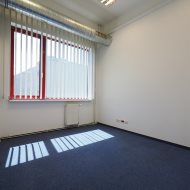 Lokal na wynajem