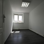 Lokal na wynajem