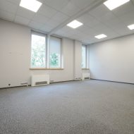Lokal na wynajem