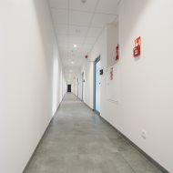 Lokal na wynajem