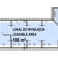 Lokal na wynajem